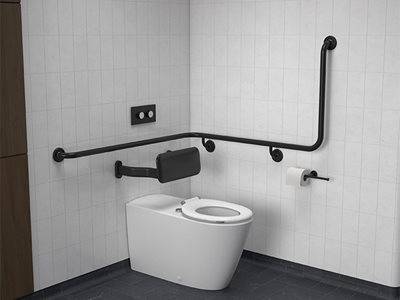 Caroma GermGard Toilet Rail Black