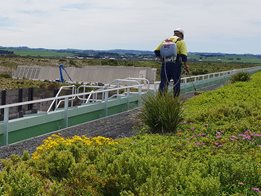 Elevated Horticultural Maintenance