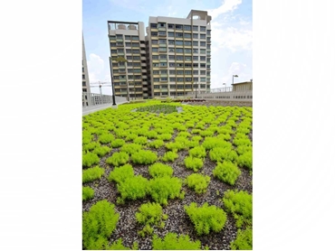 Ecologically friendly green roof systems and green walls