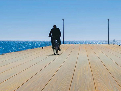 PROTECT PIER CYCLIST