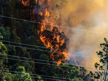 Bushfires can take down power lines, leaving entire communities without electricity