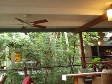 The ceiling fans feature a tropical style that blends with the Lodge's atmosphere