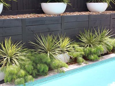 Galintel Retaining Wall Posts Poolside