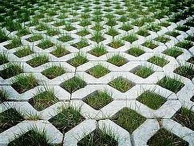 Grass Pavers1