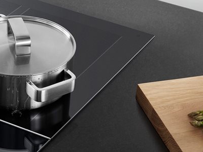 Fisher and Paykal Induction Cooktop With Pot