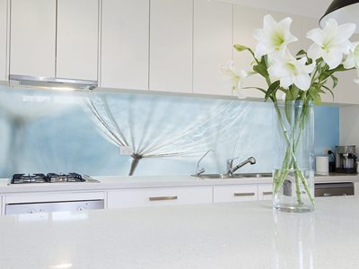 Modern kitchen interior with white splashback