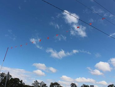 Guardian Goalposts provide a highly visible proximity warning of nearby overhead cables 