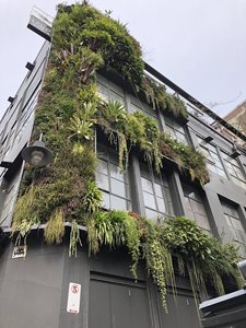 Detailed close up of building facade with green vertical garden