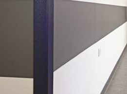 Acculine interior wall and door protection