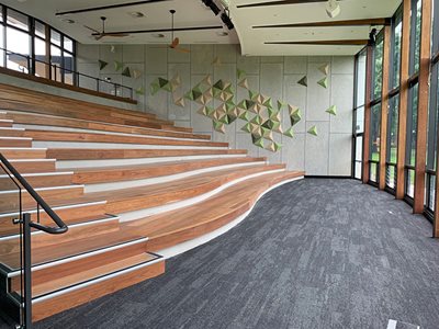 CSR Cemintel Barestone Wall Interior Grey