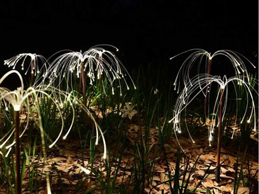 Fireflies by Bruce Munro. Photography by Christopher John