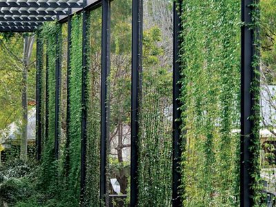 Ronstan Tensile Architecture Our Lady of Mercy College Trellis and Facades