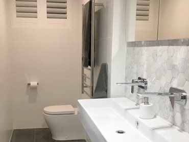 Luna Cleanflush Invisi toilet 