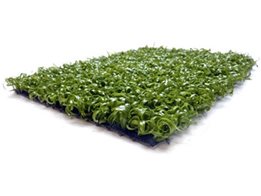 Multiuse Synthetic Turf from Regal Grass