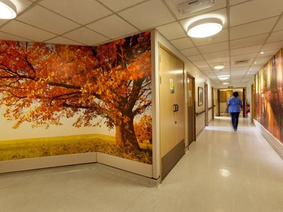 ALTRO APAC High Resolution Vector Artwork Custom Walling In Hospital