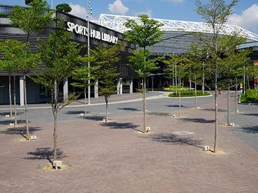 Tree grates act as additional protection to prevent pedestrian traffic from tripping over the tree roots