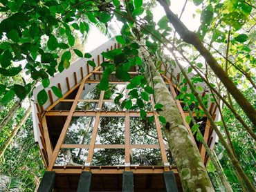 The Monkey House was installed between trees on an area covering 5m x 6m (Photo: Gustavo Uemura)