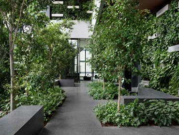 Paragon is home to Australia’s first ‘indoor forest’
