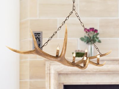 Product image of Schots Antler centrepiece lights