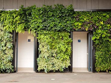 The green wall reduces the heat absorbed from the asphalt and creates a more comfortable space to play