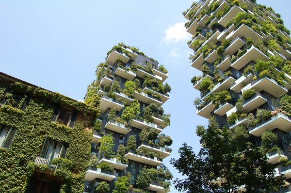 Sustainable architecture and design have become a necessity rather than an option and as such, evaluation systems have been developed to grade buildings based on their energy performance and their environmental impact. Also, concepts—like vertical forests, green roofs, roof gardens, and green walls, which incorporate greenery into the built environment have become commonplace across the world.