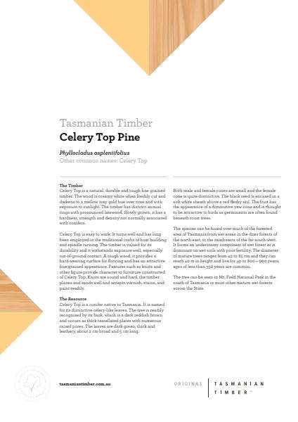Celery Top Pine Info Sheet