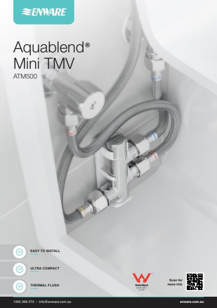 Enware Mini TMV Flyer 2021