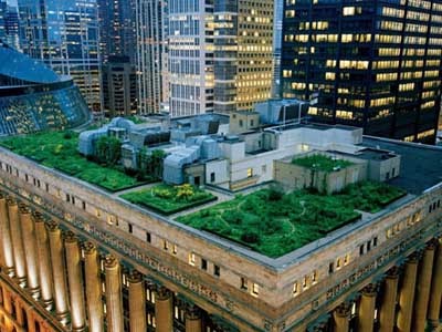 Chicago&rsquo;s City Hall roof garden
