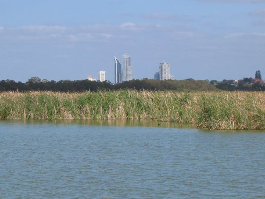 The future of Perth&rsquo;s urban wetlands is in doubt. Image:&nbsp;Orderinchaos/Wikimedia Commons,&nbsp;CC BY-SA
