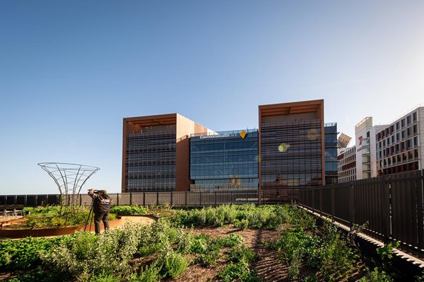 Yerrabingin Indigenous Rooftop Farm