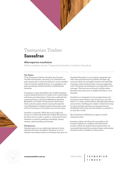 Sassafras Info Sheet