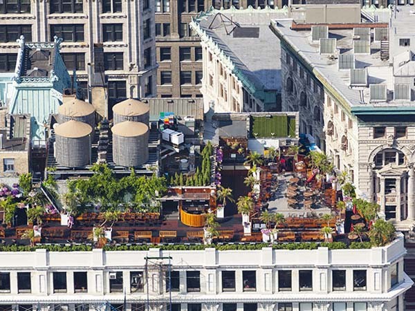 Commercial rooftop garden
