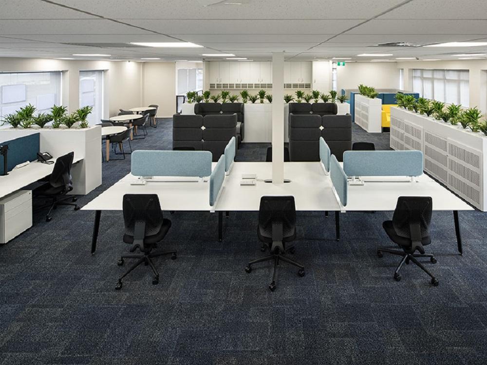 Barfoot & Thompson Office (Source: Business Interiors)