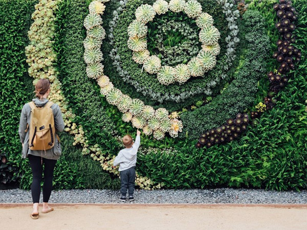 Mother and child appreciating green wall