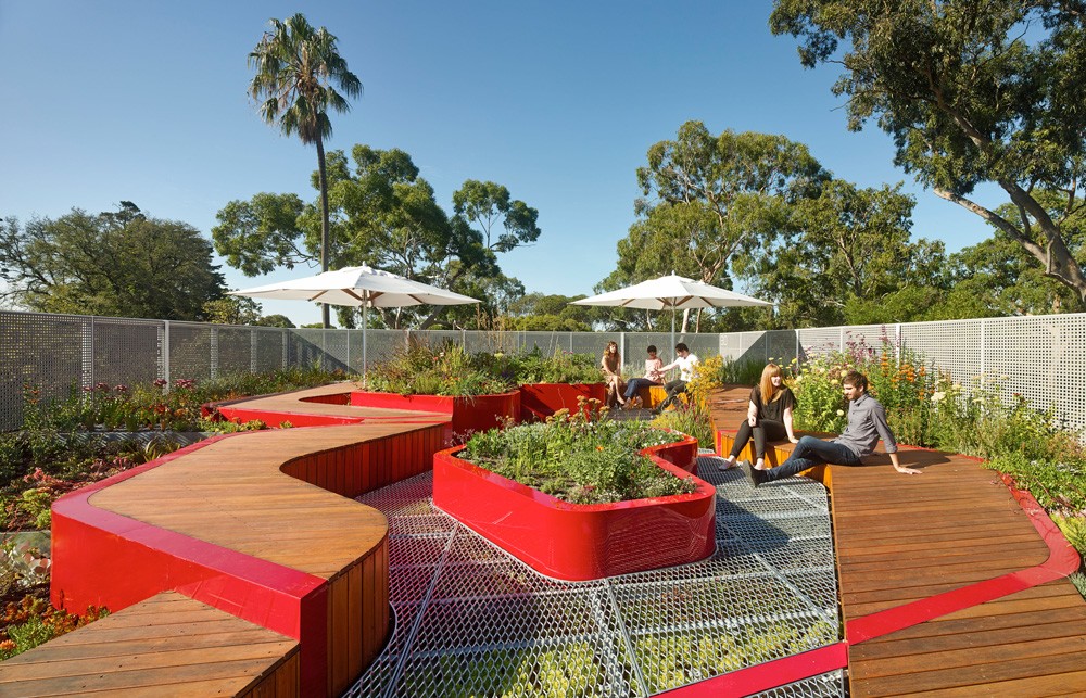 Burnley Rooftop by HASSELL wins 2015 Sustainability Awards - Landscape Design prize
