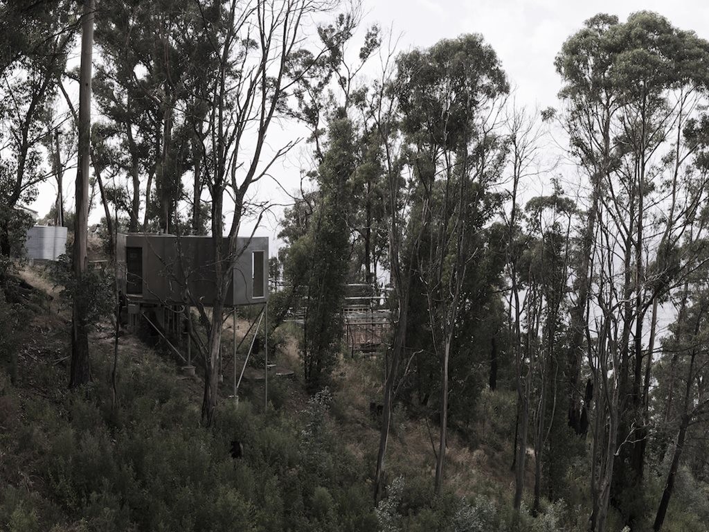 Sustainable shipping container home is one with the trees ...
