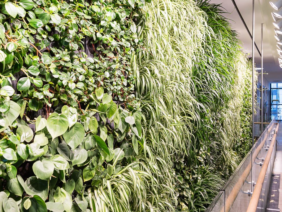 Junglefy Breathing Wall by Junglefy | Architecture & Design
