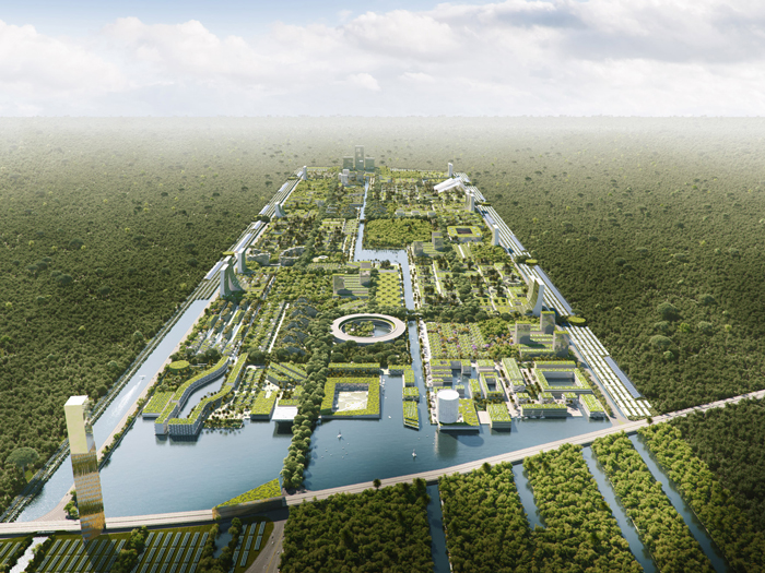 Smart Forest City