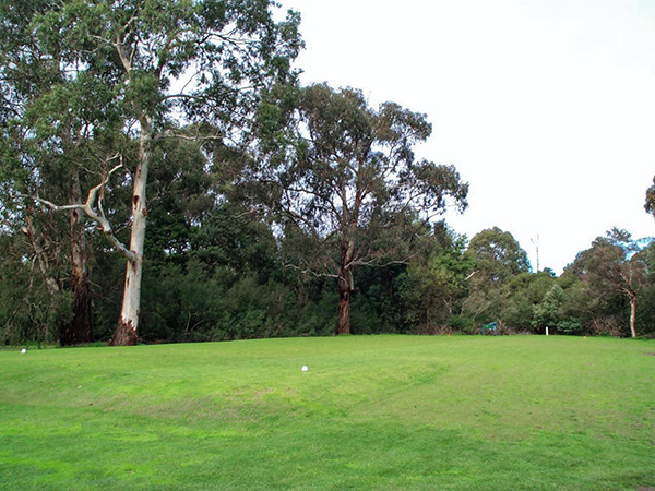Urban golf courses are biodiversity oases.