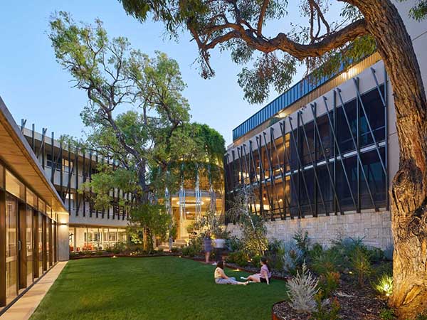 Central to building’s cultural understanding is the creation of the Banksia form, an open four-storey structure centrally located at the confluence of the building and campus networks, veiled in expanded mesh and green vegetation, creating a counterpoint to the rigidity of the more institutional adjacent building forms.