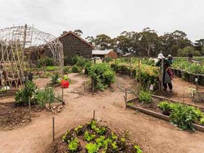 Werribee Park community garden