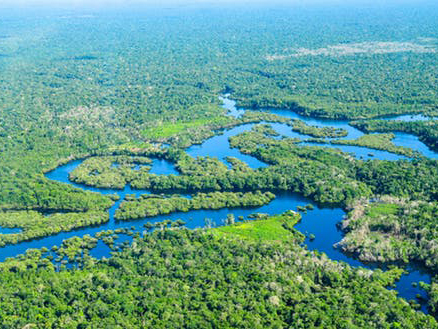 Brazil, home to the Amazon, is one of just five &lsquo;mega-wilderness&rsquo; countries. CIFOR, Author provided
