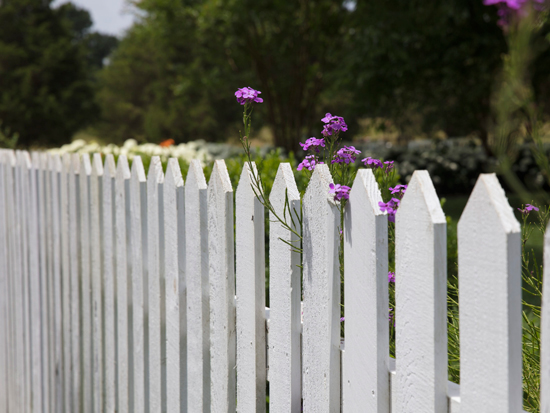 Front fence