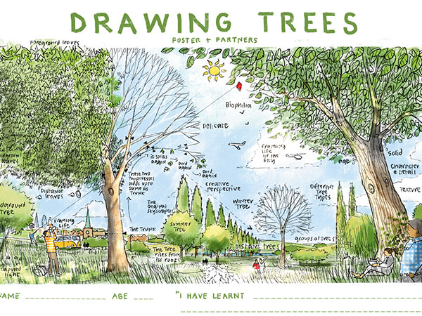 Children's drawing of trees