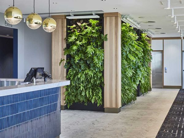 Green walls greet patrons and guests at the entrance, in the bistro through the double height void space of the stairs, as well as in the event space.