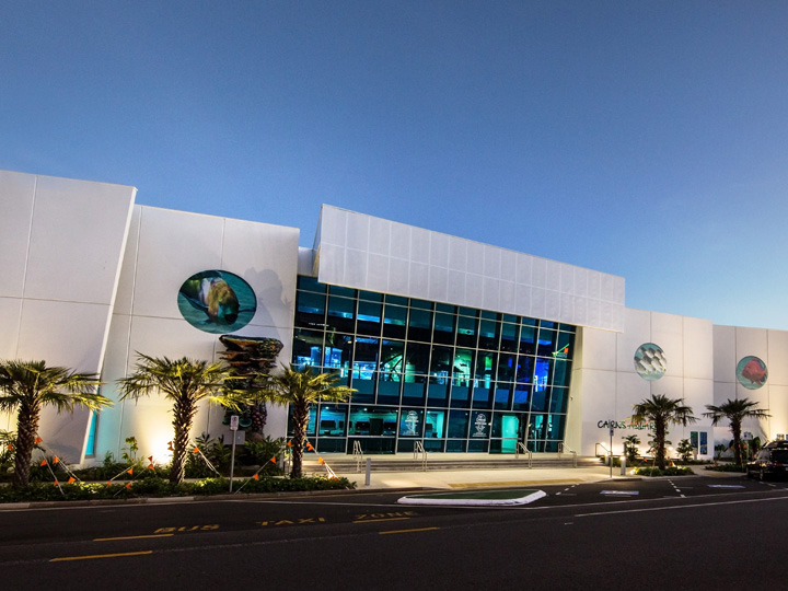 Cairns Aquarium and Reef Research Centre has won the 2018 Master Builders Queensland award for Project of the Year, as well as for Tourism and Leisure Facilities over $10 million. Image: Supplied
