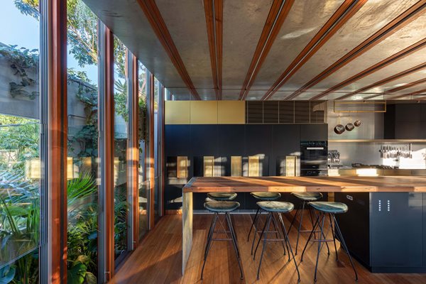 Welcome to the Jungle House: Winner of the Single Dwelling (New) category at the 2019 Sustainability Awards