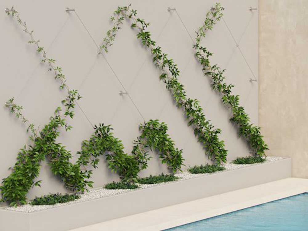 Stainless Steel Systems For Green Walls Architecture Design - Indoor Green Wall Australia