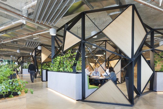 Why biophilic architecture works: five reasons and case studies