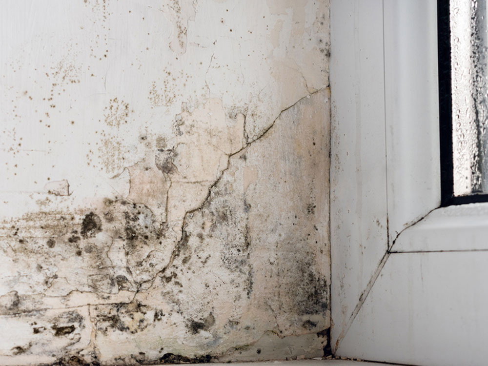 Condensation can lead to mould growth